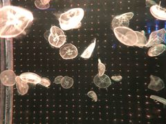 -多彩贵州城极地海洋世界