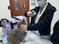 -美联众合动物医院·24h转诊中心