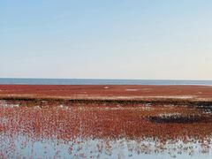 -红海滩国家风景廊道