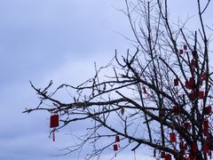 -硗碛藏寨·神木垒景区