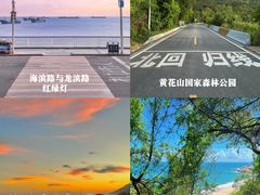 -南澳岛打卡果汁冰公司