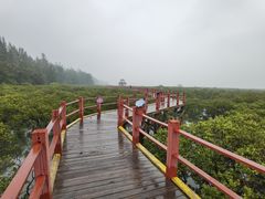 -北海金海湾红树林生态旅游区