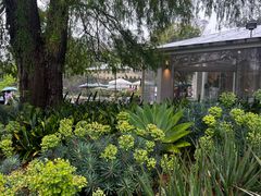 -墨尔本皇家植物园