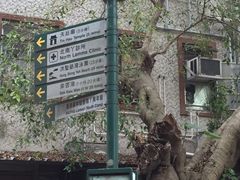 -南丫岛