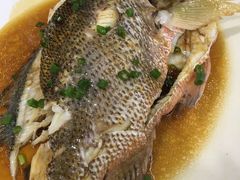 -明记海鲜大排档(巽寮湾店)