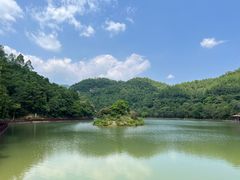 -广州白江湖森林公园