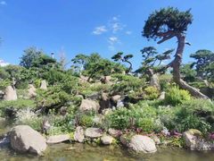 -罗红摄影艺术馆