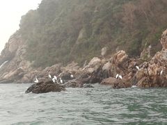 -大澳渔村及棚屋