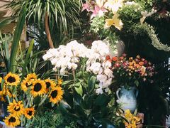 -春暖花开(西溪店)
