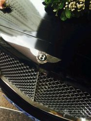 -蚂蚁婚车