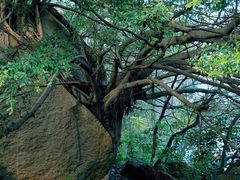 -草庵摩尼教遗址公园