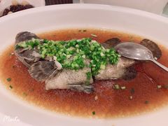 -皇朝尊会(龙之梦大酒店)