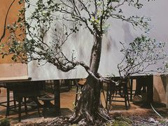 -成川茶店·潮汕工夫浓茶(万象店)