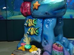 -青岛嘉年华主题乐园