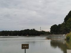 -南翔镇银翔湖公园