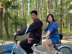 -黄海国家森林公园