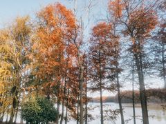 -上海海湾国家森林公园