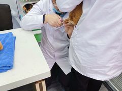 -pd派德宠物中心医院24H急重症·眼科中心·血液透析中心(嵩山北路店)