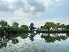 -无锡蠡湖国家湿地公园-蠡园