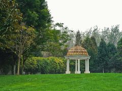 -合肥滨湖国家森林公园