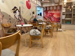 -Let's go狗咖·猫咖·奶狗·桌游(春熙路IFS店)