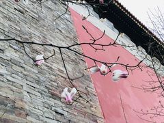 -东华门大街小区