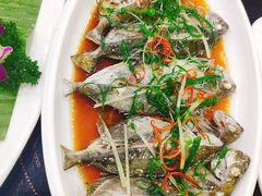 黄豆酱蒸小海鱼-刘记糟粕醋海鲜烧烤