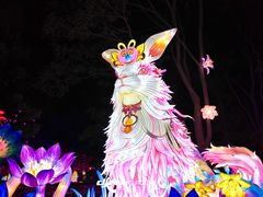 -厦门园林博览苑
