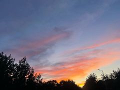 -马记伊源斋涮肉·清真菜(潘家园古玩市场店)