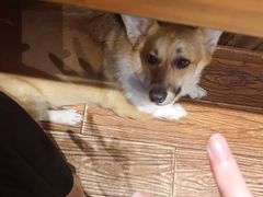 -阿木舂记·特色小吃(平江路店)