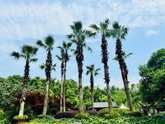 -东湖生态旅游风景区