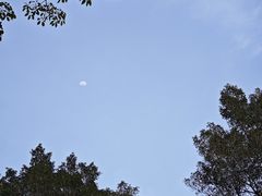 -晓港公园