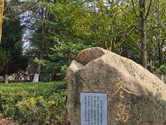 -白塘生态植物园