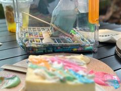 -J Create城市露营咖啡·简餐·宠物(上海动物园店)