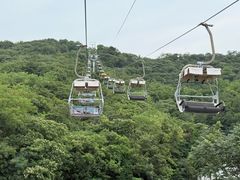 -富斯特索道