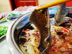 -朱氏胖子烂火锅(洪崖洞店)