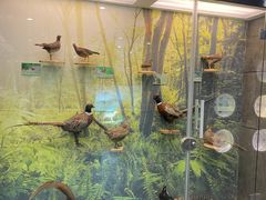 -下渚湖国家湿地公园科普馆