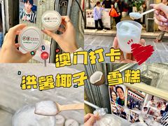 -洪馨椰子