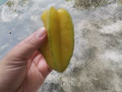 -桂花园农庄