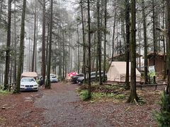 -重庆睡佛山森林公园