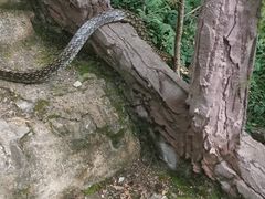 -圣莲山风景区