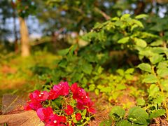 -白沙门生态公园