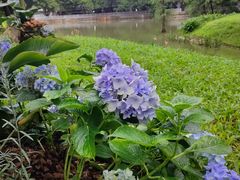 -人民公园(罗湖区)