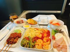 -新加坡航空公司(ION)