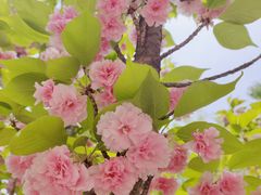 -莲花池公园