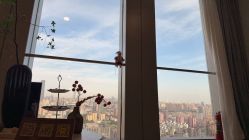 -POCO宝珂丽科技美肤