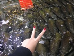 -渔傅·蓝海岸霞浦海鲜(正祥店)