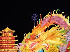 -武汉园博园(武汉自然博物馆)