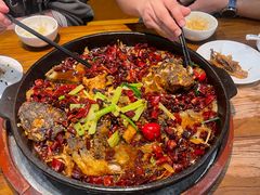 -老板恋上鱼(印象城店)