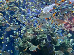 -成都浩海立方海洋公园